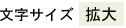 文字の大きさを拡大する