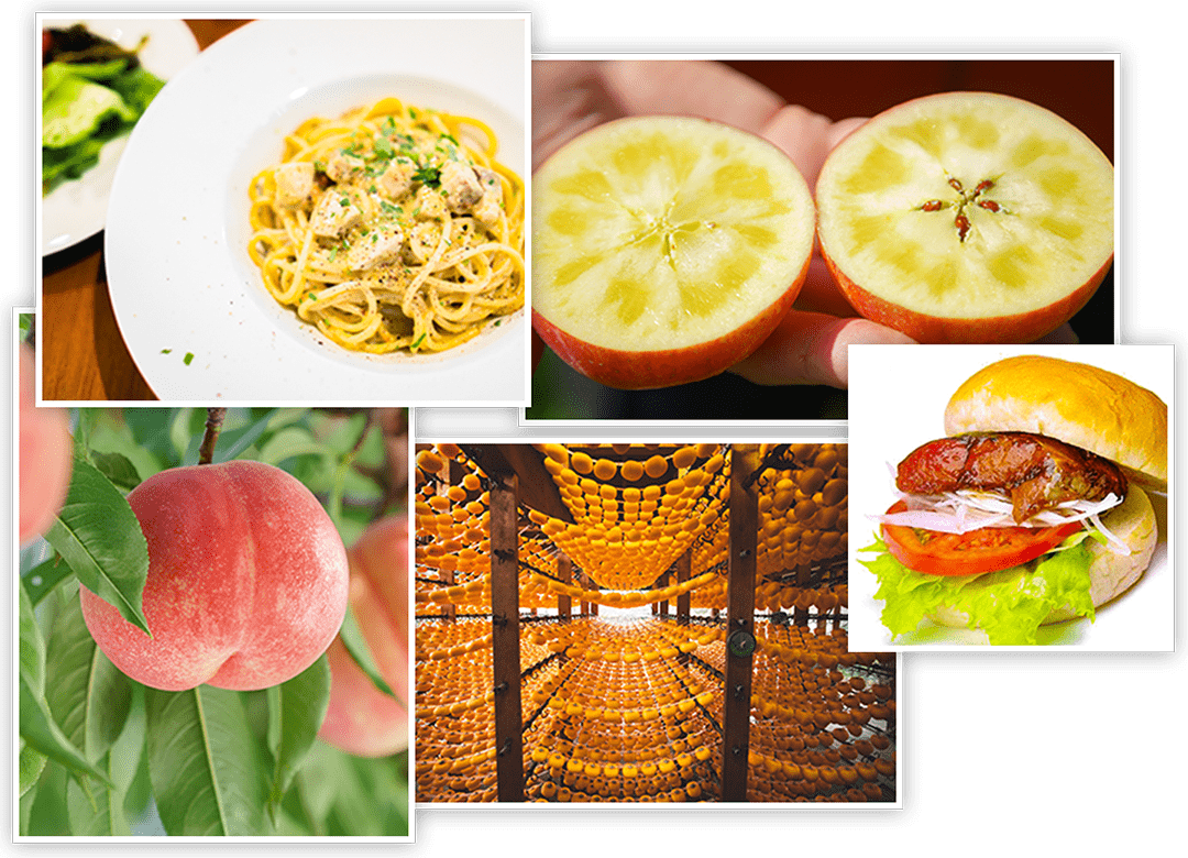 国見町魅力発信ポータルサイト 国見町ホームページ