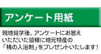 アンケート用紙