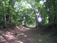 旧奥州道中 国見峠長坂跡の写真2